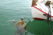 Private Argostoli Walking Experience