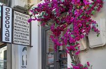 Private Argostoli Walking Experience