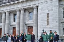 Cork City to Blarney Castle Private Tour in modern AC Minibus
