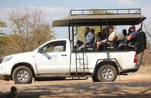Game Drive and White Rhino Walking Safari in Livingstone