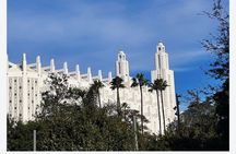 Discover Casablanca: Mosque & City Tour