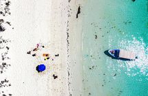 Whale sharks and sea lions snorkeling plus Balandra beach lunch