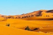 Exclusive Merzouga Desert Safari: Camel Ride, Sandsurf & Dinner