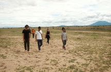 Walking Day Tour to Safari in Arusha National Park 