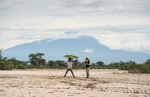 Walking Day Tour to Safari in Arusha National Park 