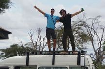 Walking Day Tour to Safari in Arusha National Park 