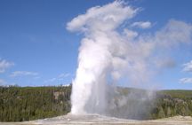 Yellowstone National Park - Private Lower Loop Adventure
