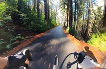 Bicycle Guided Tour in Napa and Sonoma