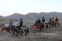 Private Tour drive to Chinggis Khan Statue & Terelj National Park