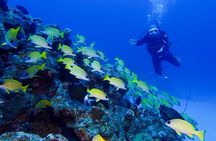 Okinawa Scuba Diving For Certified Divers (3 boat dives + Lunch)