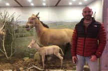 Private Full Day Tour in Khustain Nuruu National Park