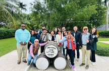 Bahamas Full-Day 6 Hrs Nassau City, Food and Beach Tour