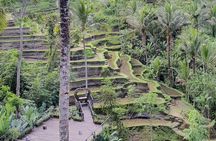 Bali Private Driver and Car for Customize Tours