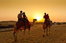 Premium Desert Safari: BBQ, Quad Bike & Sandboarding