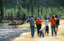 Yellowstone Lower (Southern) Loop Tour