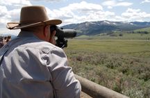 Full-Day Yellowstone Upper (Northern) Loop Tour