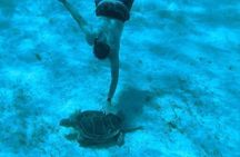 Rose Island Adventure: Snorkel, Sea Turtles, and Private Beach