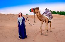 Red Desert Safari Dubai Camel Ride Dune Bashing BBQ Sand Boarding