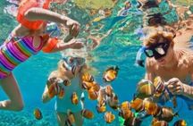 Private: Half Day Snorkeling Tour/swimming/sightseeing