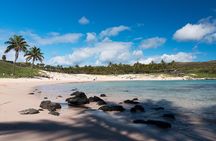 Experience Easter Island Shared Tour for Cruise Ship Passengers 