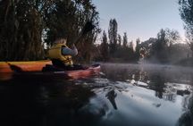 Sunrise Kayak Tour in Xochimilco