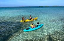 Adventure Kayak & Snorkeling at Reef Island Aruba