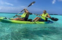Adventure Kayak & Snorkeling at Reef Island Aruba