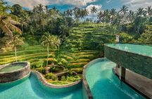 CRETYA Ubud infinity Pool + Hidden Water fall + Water Temple Tour