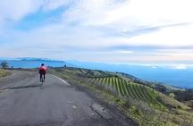 Bicycle Guided Tour in Napa and Sonoma
