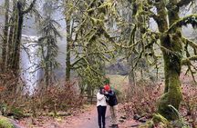 Silver Falls Waterfall Hiking Tour from Portland