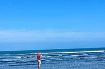 Piha Beach 