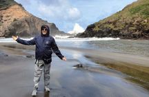 Piha Beach 