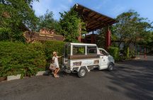 Thai Cooking Class 2 Hrs ( 4 Dishes Menu)