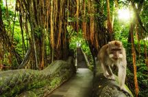 Bali Customized Private Tour 