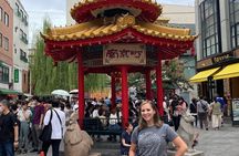 Kobe 4hr Private Tour with Government-Licensed Guide