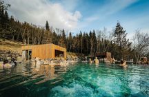 Cruise Tour Godafoss Turf Houses and Forest Baths Small Group