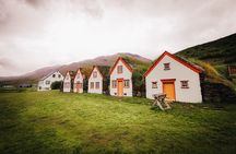 Cruise Tour Godafoss Turf Houses and Forest Baths Small Group
