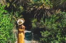 Preveli Beach & Palm Forest :Full-Day Tour with Lunch Box 