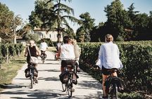 From Saint-Emilion : Half Day Electric bike Wine Tour