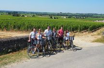 From Saint-Emilion : Half Day Electric bike Wine Tour