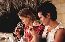 From Saint-Emilion : Half Day Electric bike Wine Tour