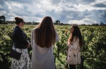 Médoc : Food and Wine Day Tour