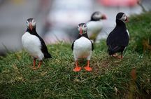 Private South Coast Tour With Optional Glacier Hike in Iceland