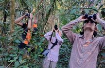 amazon jungle experience 3 days 2 nights