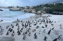 Private Guided Tour to Cape of Good Hope and Penguins Colony
