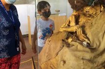 Private Tour of the Nazca Lines from Ica