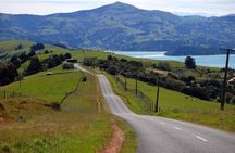 Lyttelton Shore Excursion- Small Group Tour of Akaroa & Peninsula
