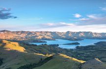Lyttelton Shore Excursion- Small Group Tour of Akaroa & Peninsula