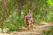 Horseback Riding along Macao Beach with Transportation