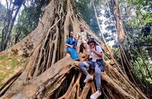 Haew Suwat Waterfall-Jungle Hiking to KM 33 Nong Pak Chi